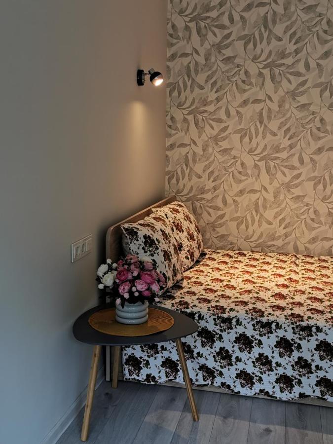 Upes Apartamentai Biržai Dış mekan fotoğraf