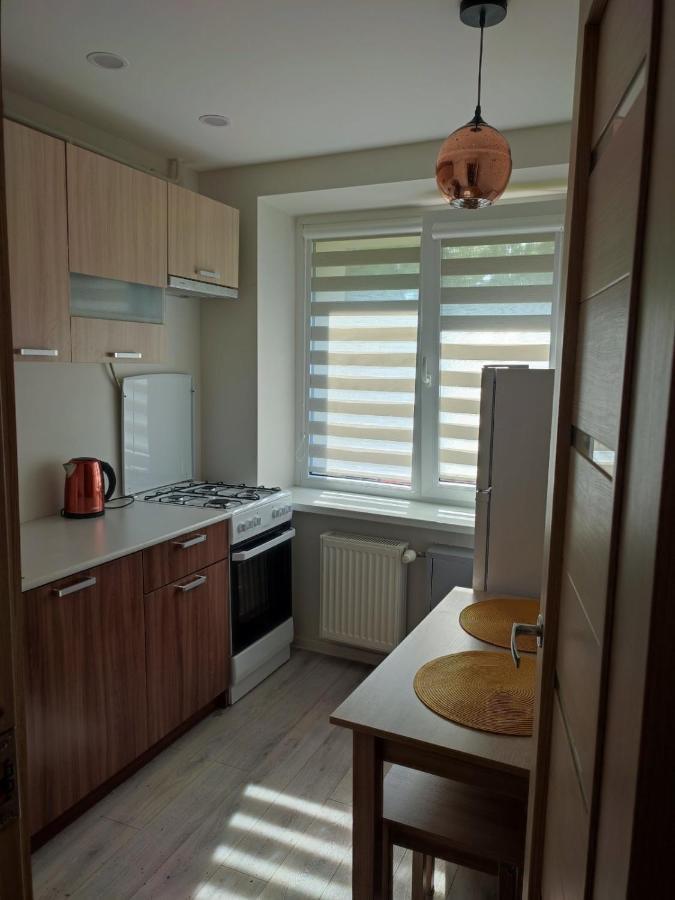 Upes Apartamentai Biržai Dış mekan fotoğraf