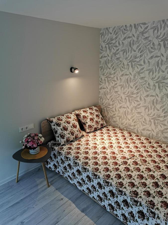 Upes Apartamentai Biržai Dış mekan fotoğraf