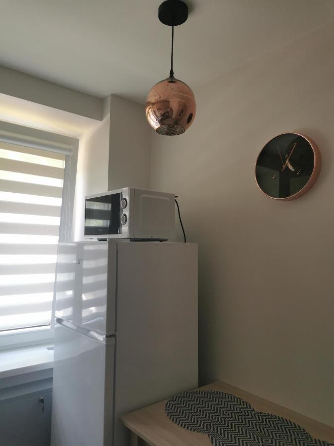 Upes Apartamentai Biržai Dış mekan fotoğraf