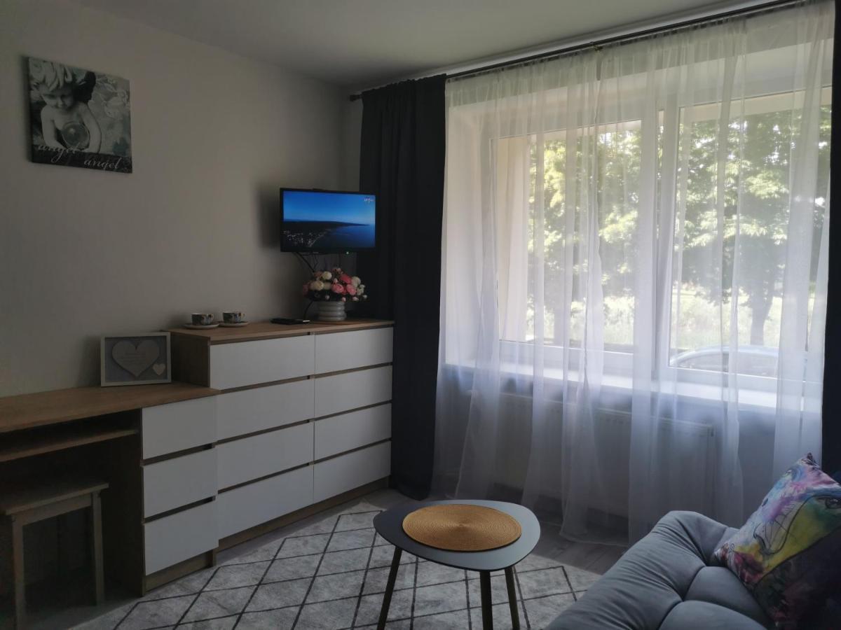Upes Apartamentai Biržai Dış mekan fotoğraf