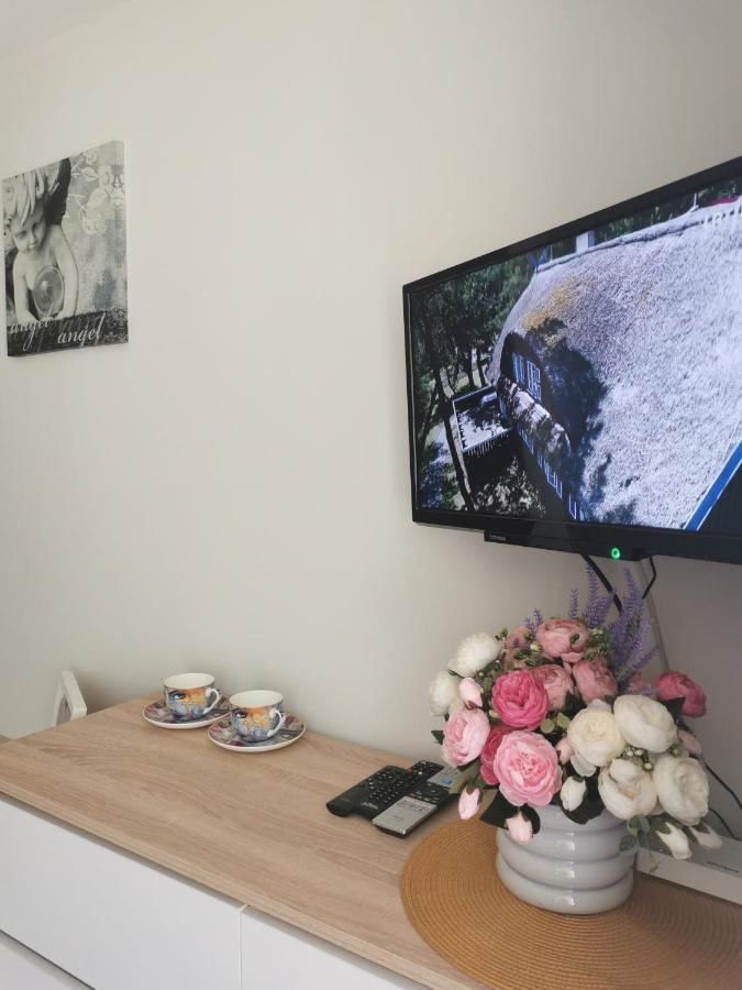 Upes Apartamentai Biržai Dış mekan fotoğraf
