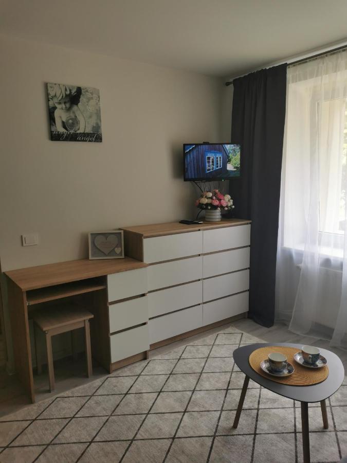 Upes Apartamentai Biržai Dış mekan fotoğraf