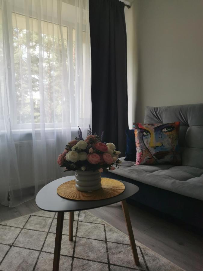 Upes Apartamentai Biržai Dış mekan fotoğraf